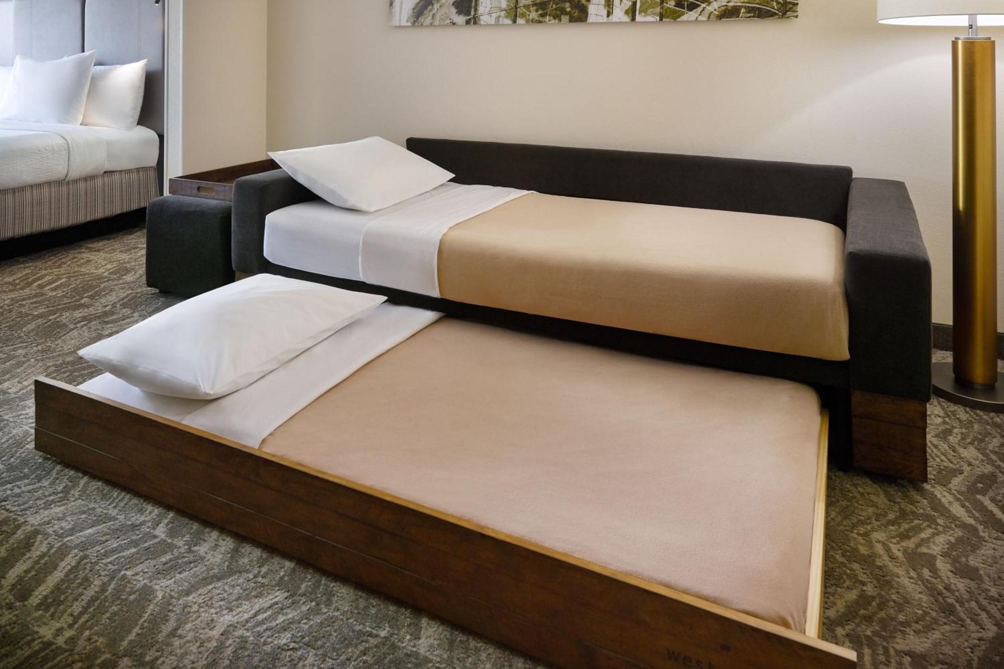 Springhill Suites Charlotte University Research Park מראה חיצוני תמונה